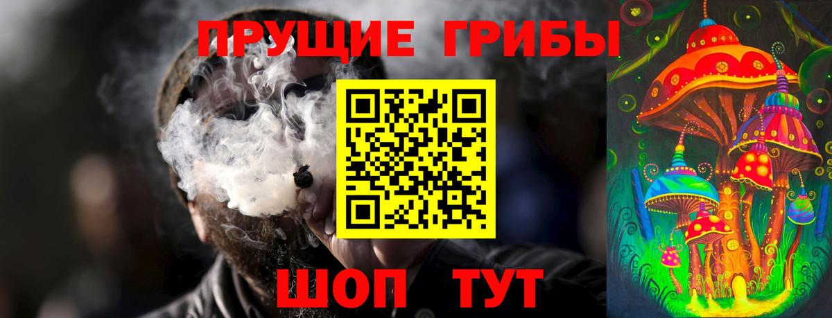 Зеленогорск  Псилоцибиновые грибы Psilocybe  Вход с VPN 